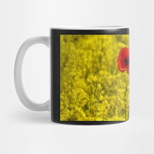 single red poppy in a field of yellow flowers Mug